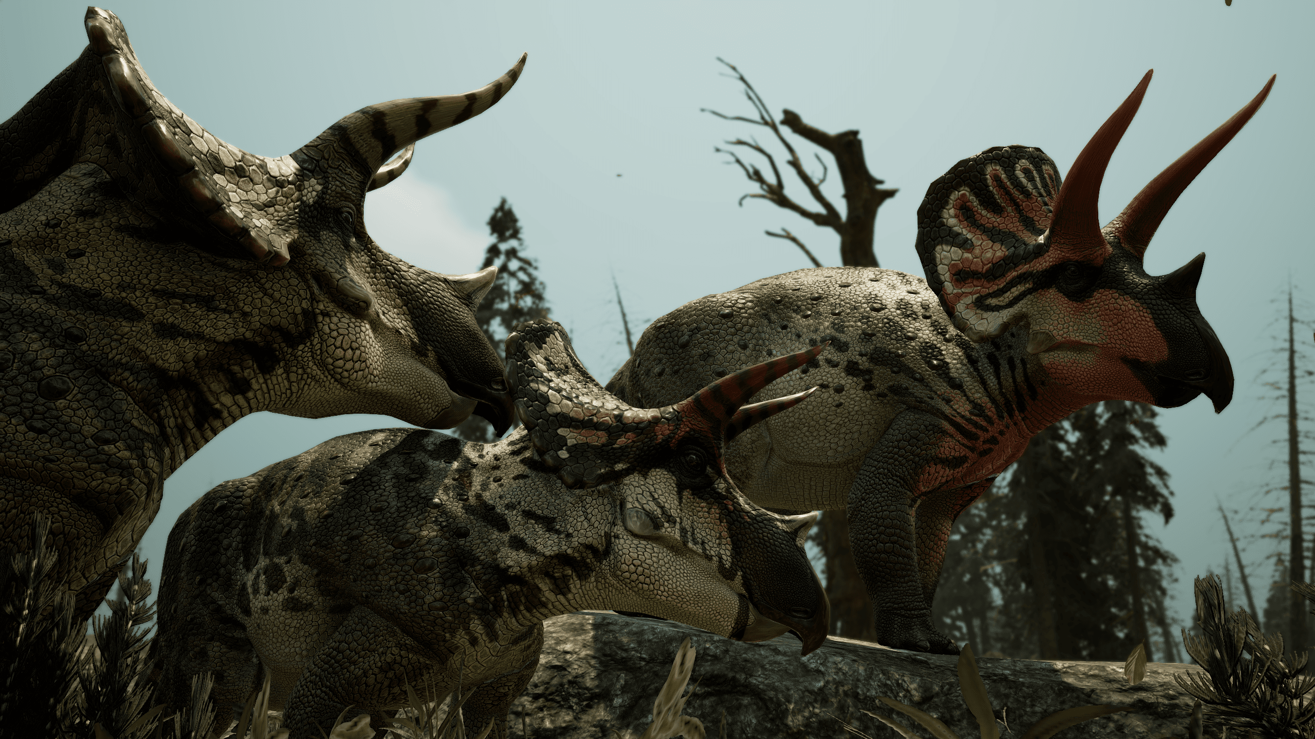 Eotriceratops in the forest